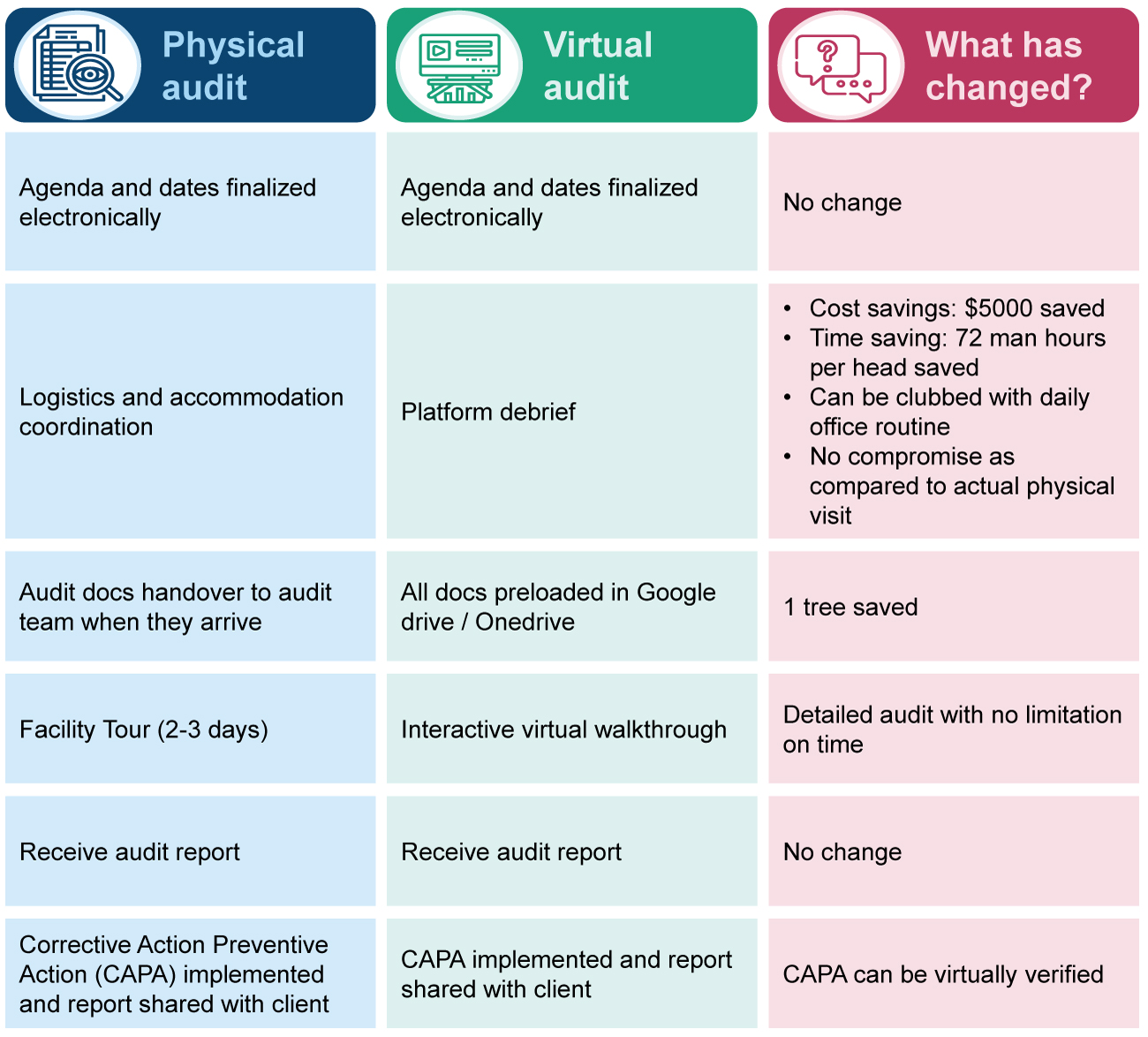 Audit Syngene Virtually - Syngene International Ltd