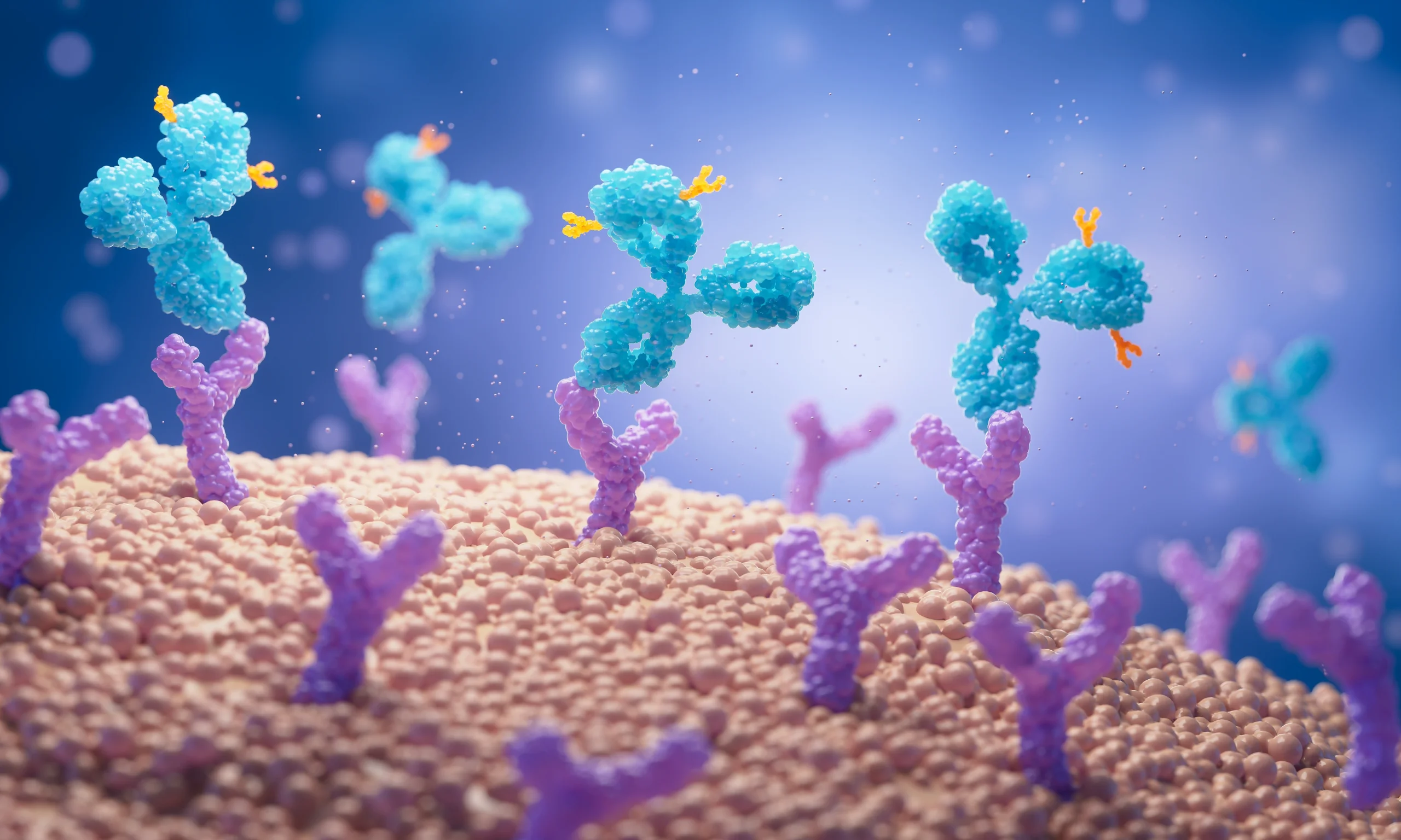 Bispecific antibodies schematic illustration