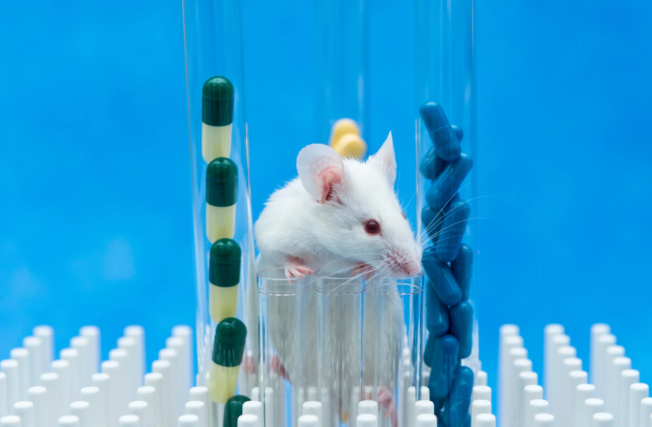 Laboratory mouse in a test tube surrounded by capsules, representing preclinical research and drug development in a pharmacology lab.