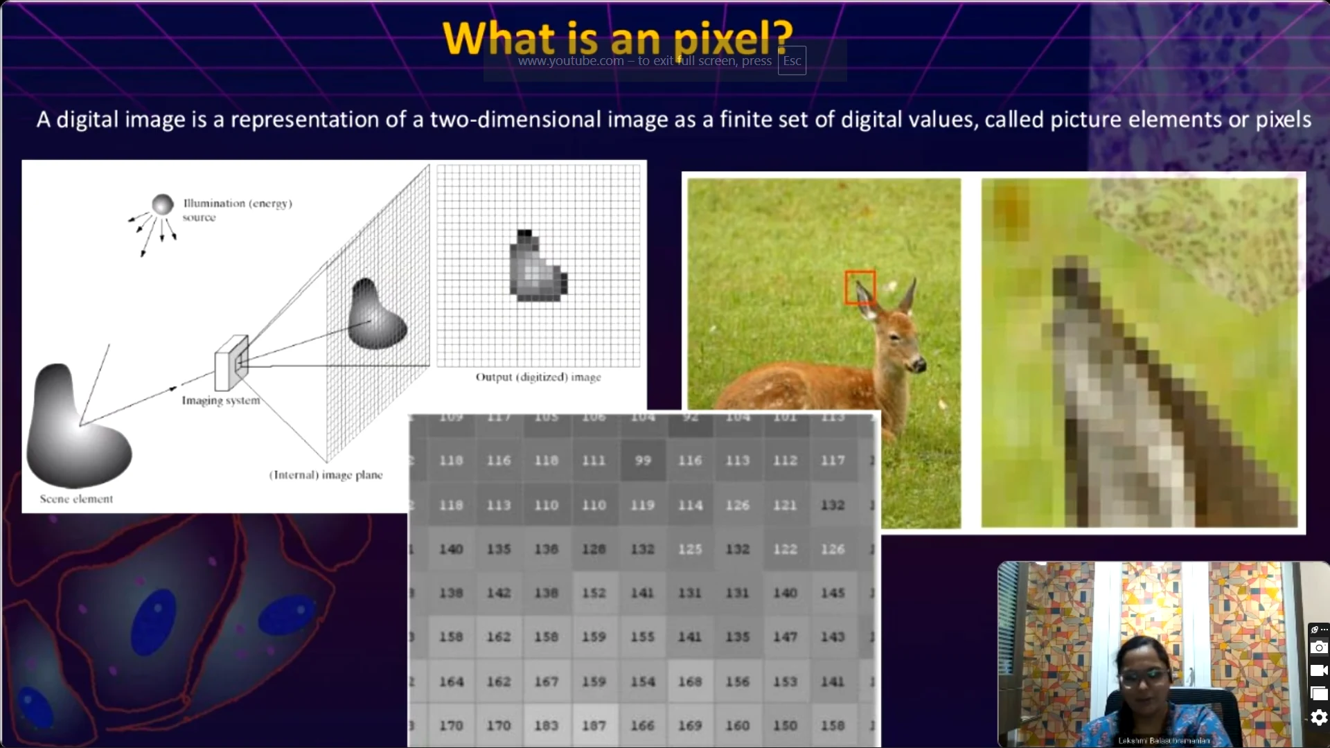 From Pixels to Phenotypes: Computational workflow strategies for High-Content Image Data Analysis
