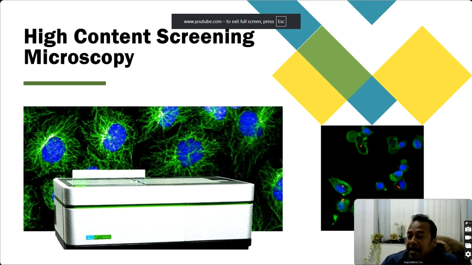 Fast, Accurate, and Insightful Using High Content Screening to Unravel Mycobacterial Growth