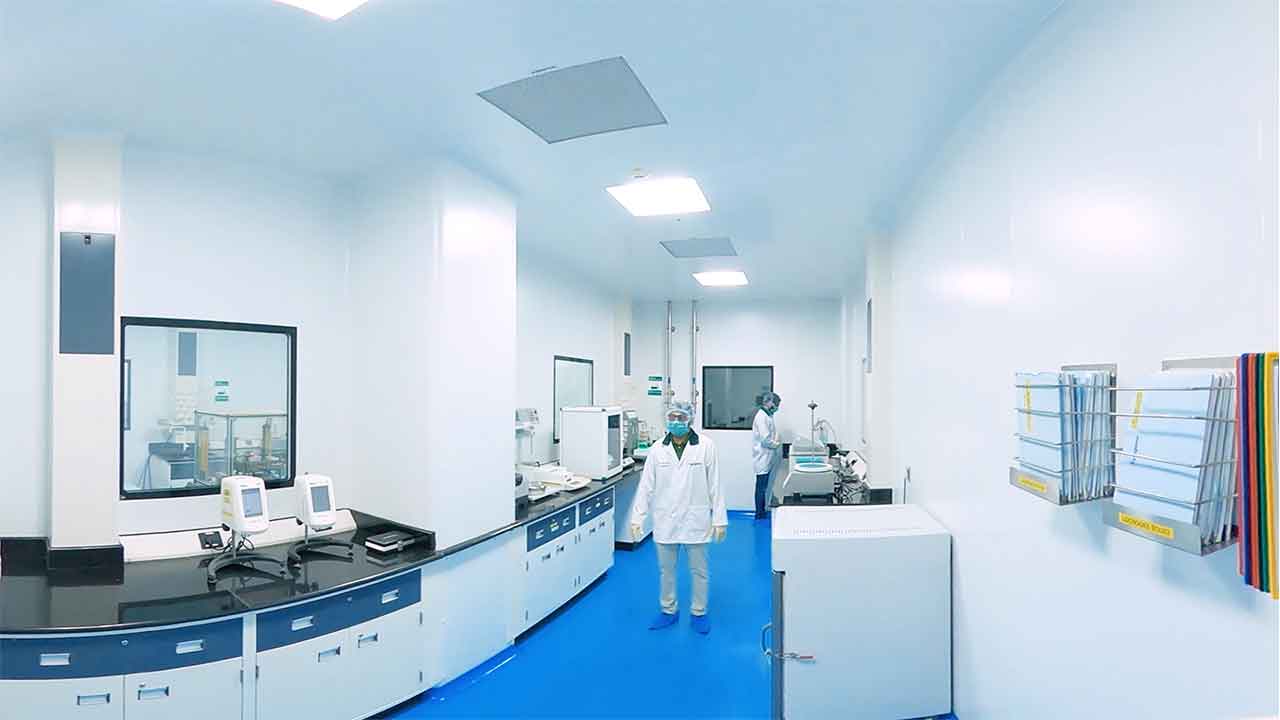 Biologics Manufacturing Facility:  Downstream Processing